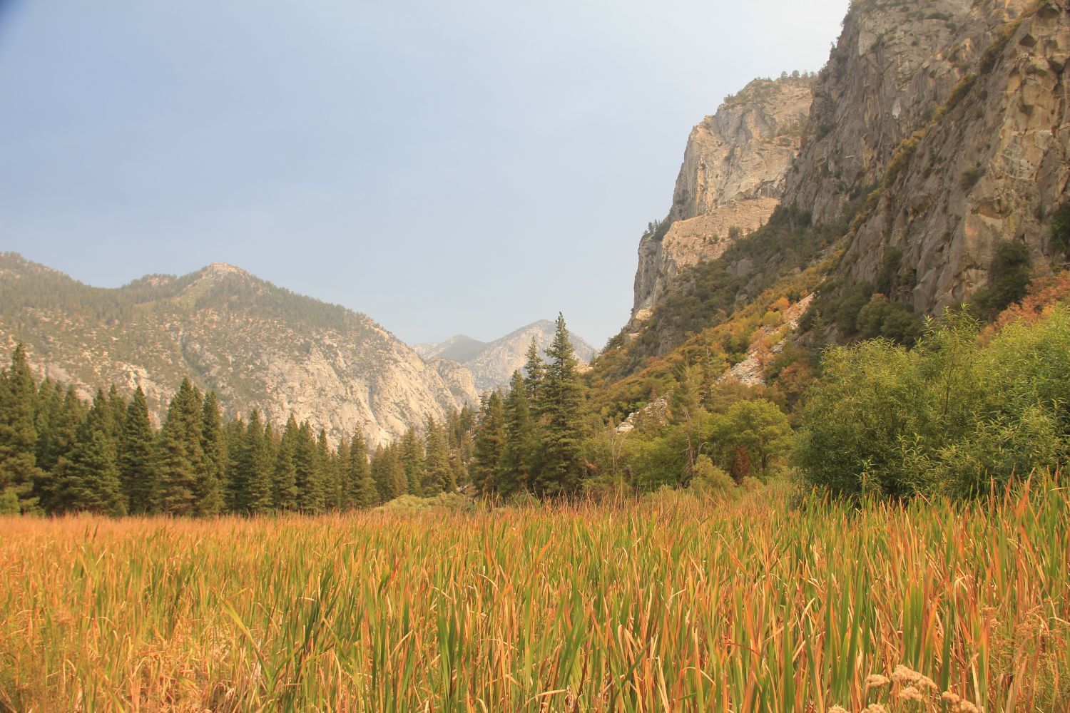 Zumwalt Meadows Trail 